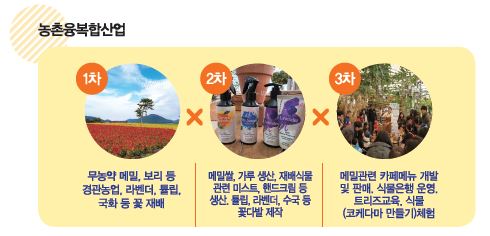 농촌융복합산업  1차 무농약 메밀, 보리 등 경관농업, 라벤더, 툴립, 국화 등 꽃 재배. 2차 메밀쌀, 가루 생산, 재배식물 관련 미스트, 핸드크림 등 생산, 툴립, 라벤더, 수국 등 꽃다발 제작. 3차 메밀관련 카페메뉴 개발 및 판매, 식물은행 운영, 트리즈교육, 식물 코케다마 만들기)체험