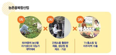 농촌융복합산업  1차 60여종의 농산물 자가생산과 12농가 계약재배, 2차 건채소를 활용한 제품, 생강청 등 제조 가공. 3차 TV홈쇼핑 및 미주지역 수출