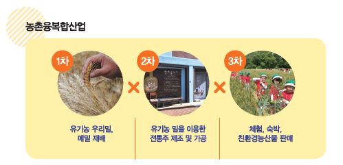 농촌융복합산업  1차 유기농 우리밀, 메밀 재배. 2차. 유기농 밀을 이용한 전통주 제조 및 가공. 3차 체험, 숙박, 친환경농산물 판매