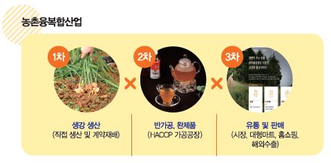농촌융복합산업  1차 생강생산(직접 생산 및 계약재배). 2차 반가공, 완제품(HACCP 가공공장). 3차 유통 및 판매(시장, 대형마트, 홈쇼핑, 해외수출)