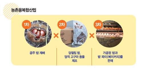 농촌융복합산업  1차 공주 밤 재배. 2차 당절임 밤, 당적 고구마 등을 제조. 3차 가공된 밤과 밤파이(베이커리)를 판매