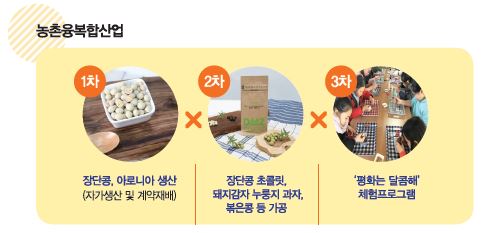 농촌융복합산업  1차 장단콩, 아로니아 생산(자가생산 및 계약재배). 2차 장단콩 초콜릿, 돼지감자 누릉지 과자, 볶은콩 등 가공. 3차 '평화는 달콤해'체험 프로그램