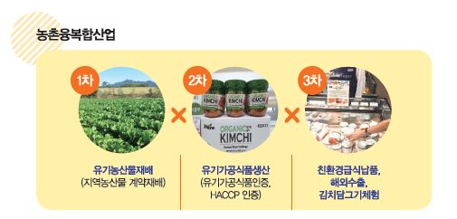 농촌융복합산업  1차 유기농산물재배(지역농산물 계약재배). 2차 유기가공식품생산(유기가공식품인증, HACCP인증). 3차 친환경급식납품, 해외수출, 김치담그기체험.